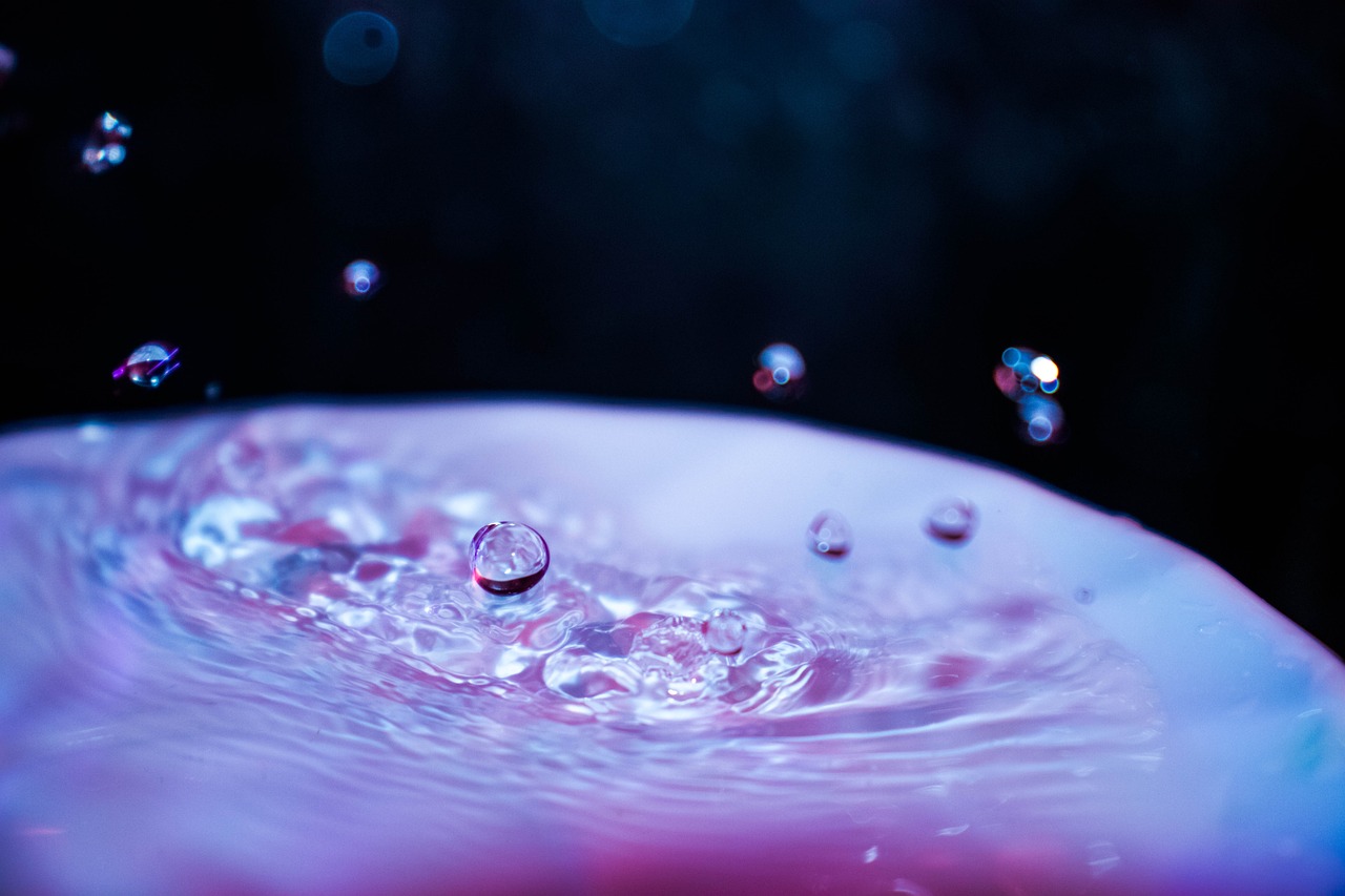 The Role of Water in Everyday Life - A Scientific Perspective